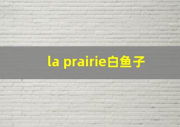 la prairie白鱼子